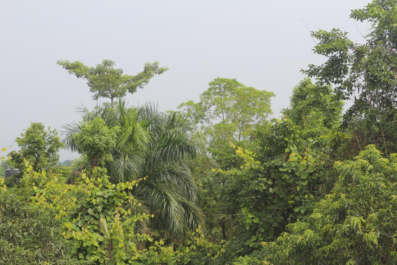 Tiger Corner Inn Homestay Sauraha Exterior photo