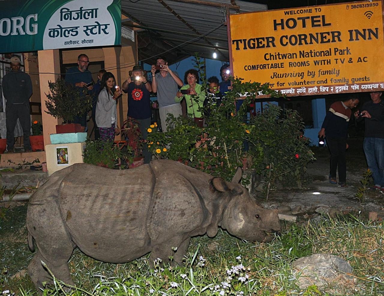 Tiger Corner Inn Homestay Sauraha Exterior photo